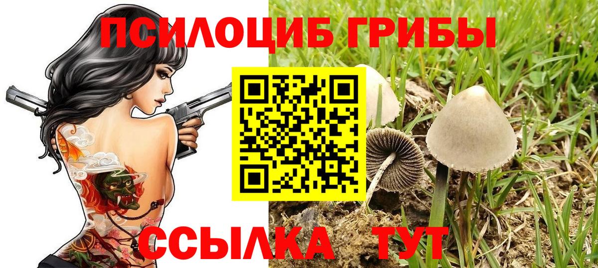 Галлюциногенные грибы мухоморы  Вход с VPN  Рубцовск  Галлюциногенные грибы мицелий 