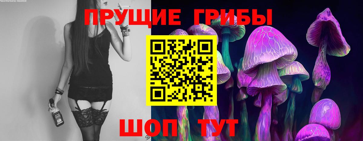 Галлюциногенные грибы GOLDEN TEACHER Рубцовск